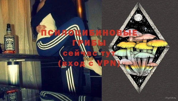 твердый Рославль