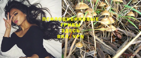 прущий лед Гатчина