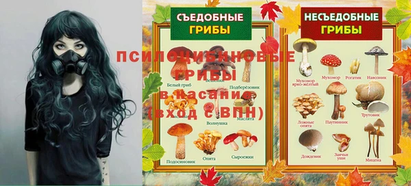 спайс Каменногорск