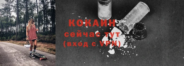твердый Рославль