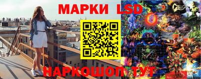 спайс Берёзовский