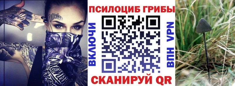 Галлюциногенные грибы прущие грибы  Ноябрьск 
