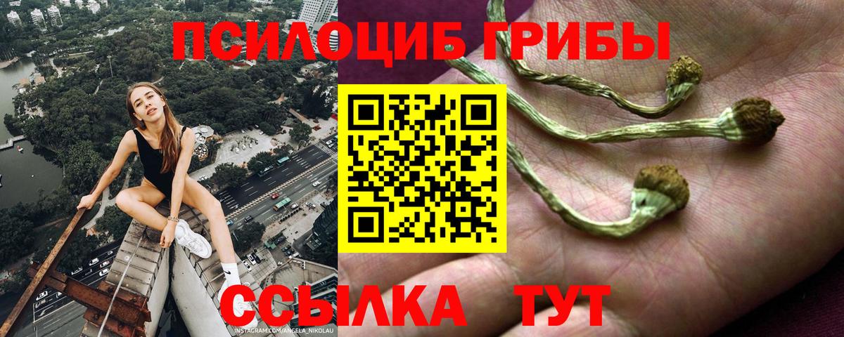 Псилоцибиновые грибы мицелий  Галлюциногенные грибы Psilocybine cubensis  Ноябрьск 