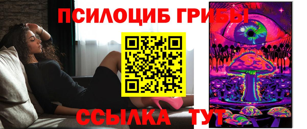 Псилоцибиновые грибы GOLDEN TEACHER  Галлюциногенные грибы Psilocybine cubensis  Вход с VPN  Ноябрьск 